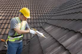 Best Commercial Roofing Services  in Spring Valley, NV